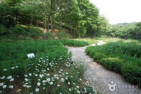 The Kwanak Arboretum of Seoul National University 