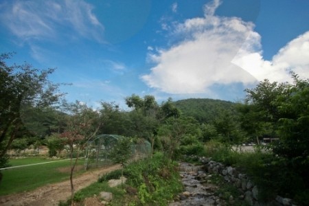 Yumyeongsan Mountain (Mayusan Mountain) (유명산)