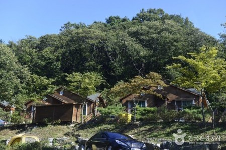 Yongin Recreational Forest 