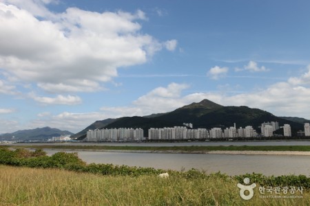 乙淑島 渡り鳥飛来地