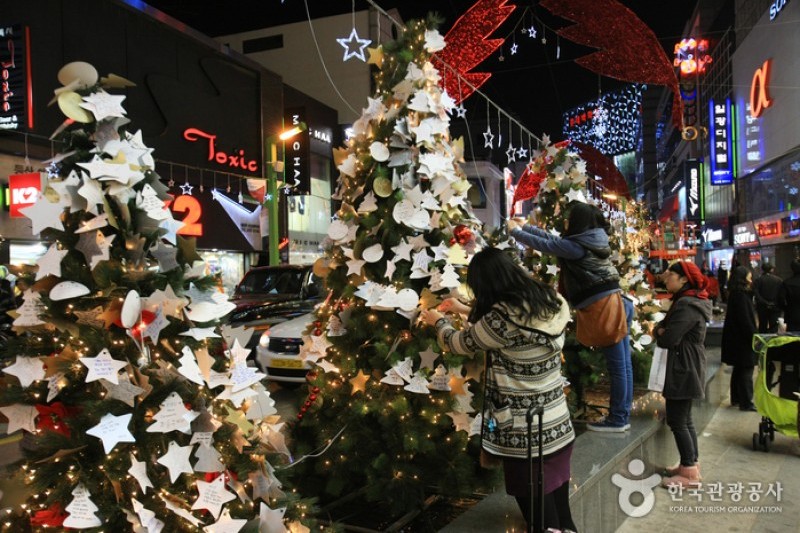 Busan Christmas Tree Festival 부산크리스마스트리문화축제 TRIPPOSE