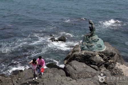 海雲臺冬柏島