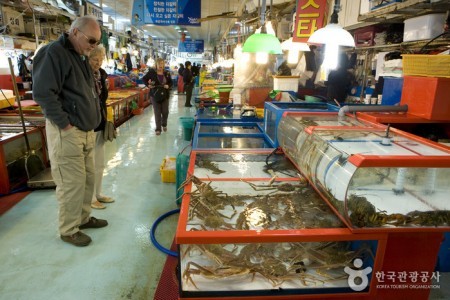 Jagalchi Market Live Fish Section 