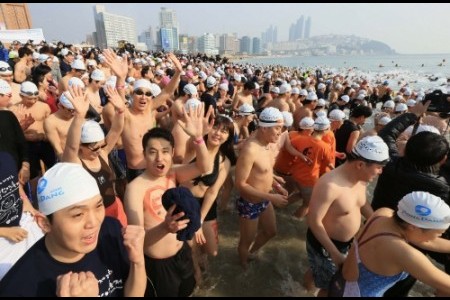 釜山北极熊冬泳大赛