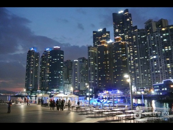 The Bay 101 더베이101 : TRIPPOSE