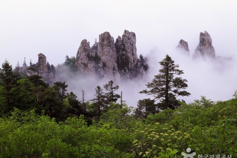 雪岳山国立公園 外雪岳 설악산국립공원 외설악 トリップポーズ