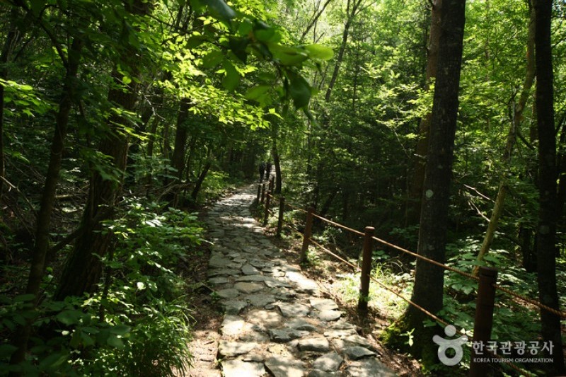 雪岳山国立公園 内雪岳 설악산국립공원 내설악 トリップポーズ