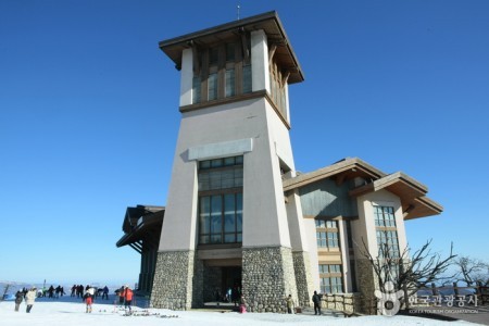 Yongpyong Resort 