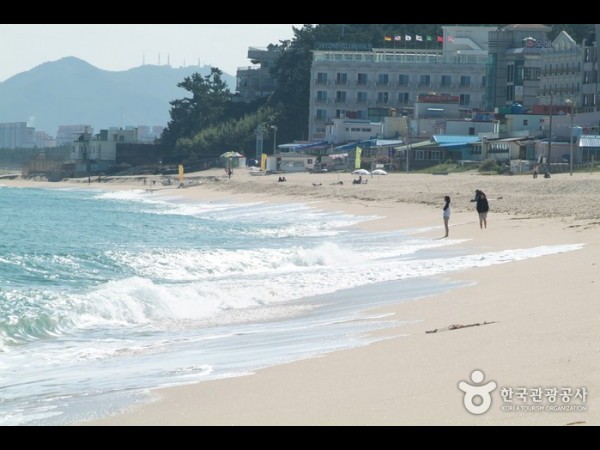 Gangneung Gyeongpo Beach : TRIPPOSE