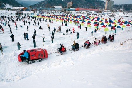 Pyeongchang Trout Festival 