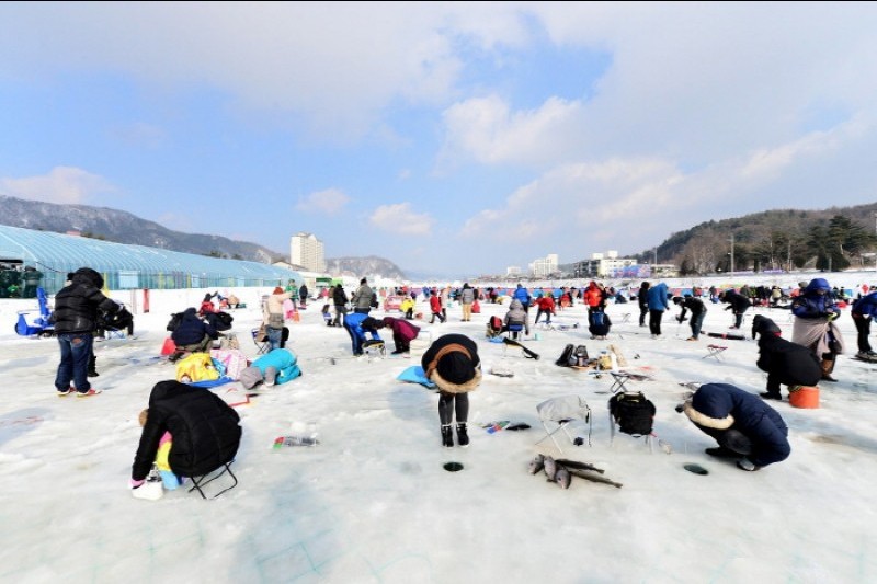 Pyeongchang Trout Festival 평창송어축제 TRIPPOSE