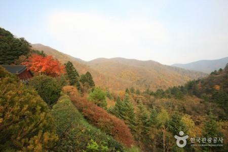 五臺山國立公園 