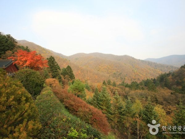 Odaesan National Park - Korea Tour | Trippose