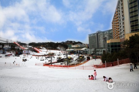 Wellihillipark Snow Park 