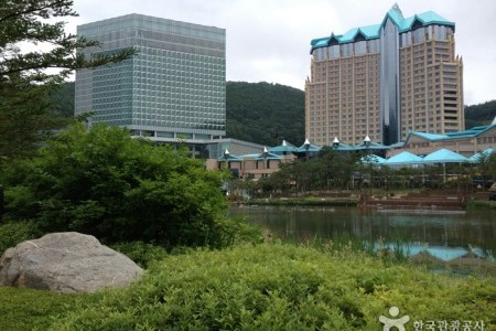 Gangwon Land Casino 