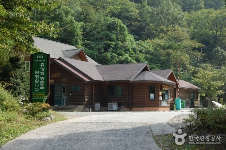 米川谷自然休養林 