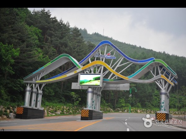 Taebaeksan Provincial Park 태백산도립공원 TRIPPOSE