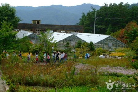 韩国自生植物园