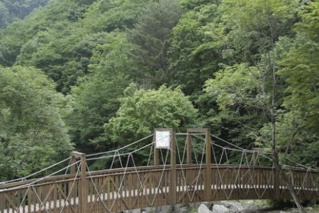 Jipdarigol Recreation Forest 