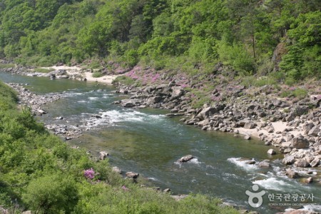 麟蹄内麟川 인제 내린천