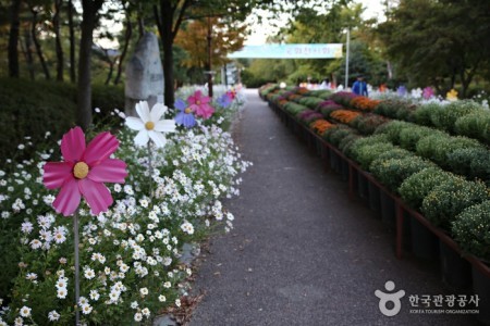 江原道立花木园