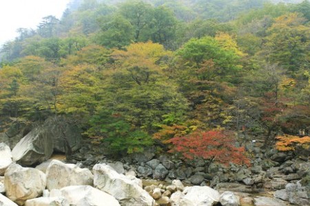 飛仙台