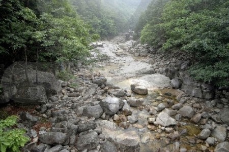 五台山小金刚