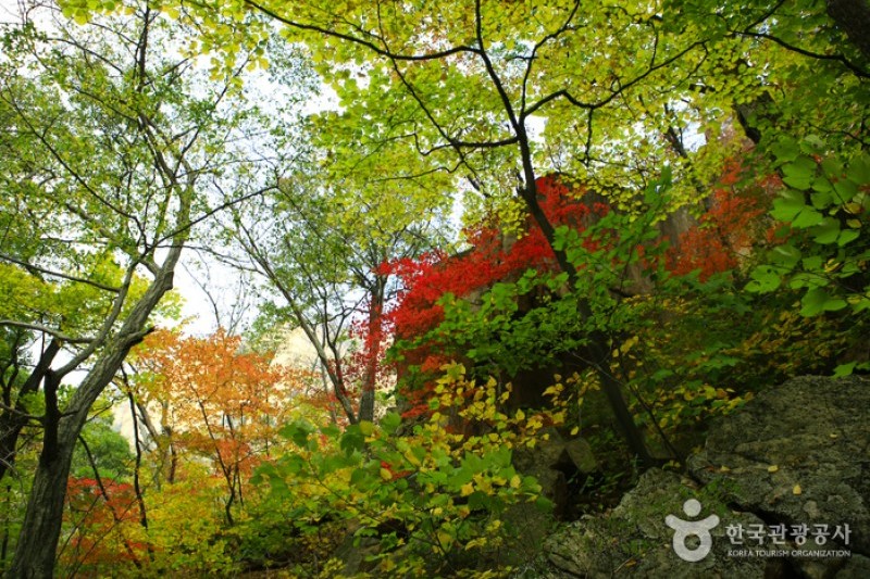 雪岳山国立公園 南雪岳 설악산국립공원 설악산국립공원 남설악 トリップポーズ