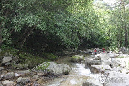 Bangtaesan Mountain 
