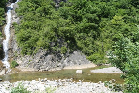 東江 魚羅淵