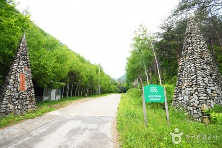 三峰自然休養林