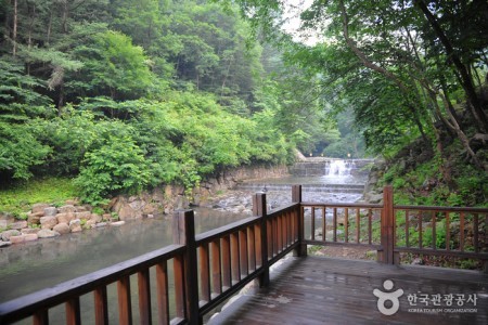 国立白雲山自然休養林