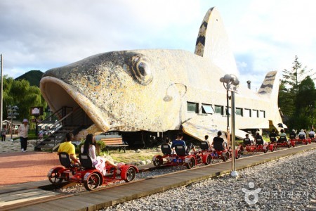 Jeongseon Auraji Rail Bike 