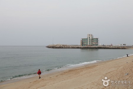 安木海岸안목해변