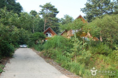 Jucheongang Riverside Recreation Forest 