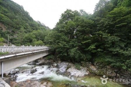 米川谷溪谷미천골계곡