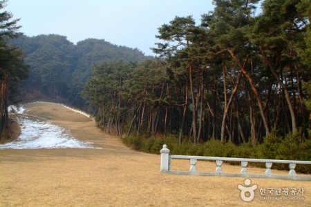 申壮节公墓域