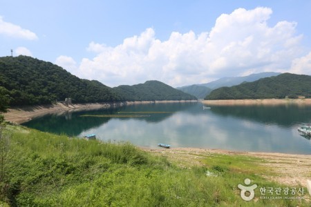 Yanguidae Wetland Protected Area 