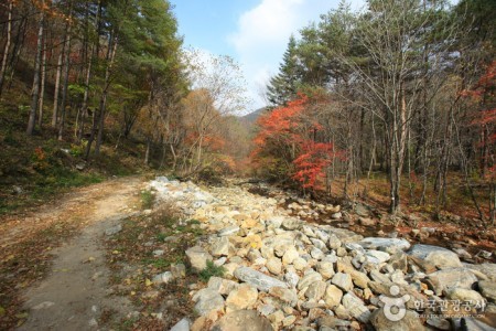 Gyebangsan Mountain - Pyeongchang (계방산 (평창))