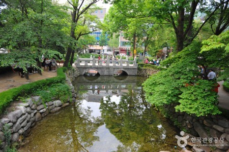 黄池蓮池（洛東江の水源）