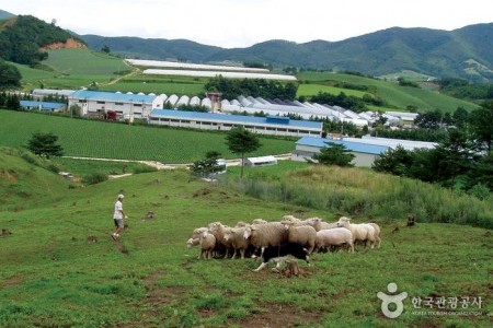 平昌 大関嶺 風の村