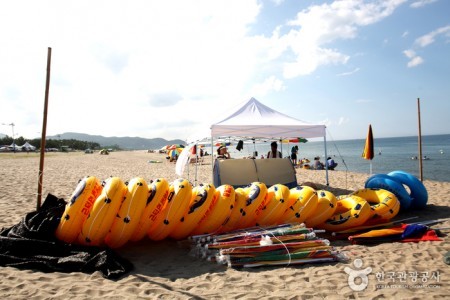 孟芳海水浴场맹방해변