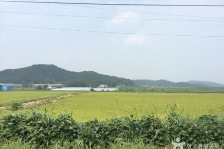 鉄原平野