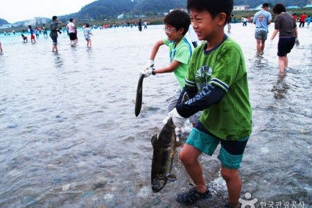 襄陽鮭魚節