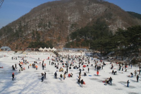 楊平農村體驗村冰雪節