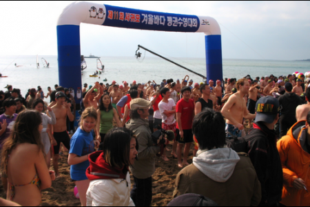 Seogwipo Penguin Swimming Festival 
