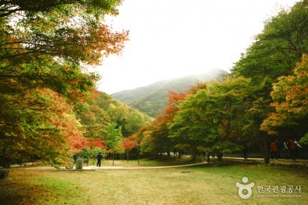 內藏山國立公園