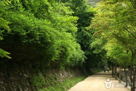 刚泉山郡立公园