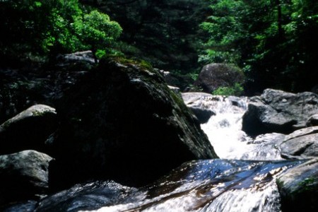 Chiryeon Valley (칠연계곡)