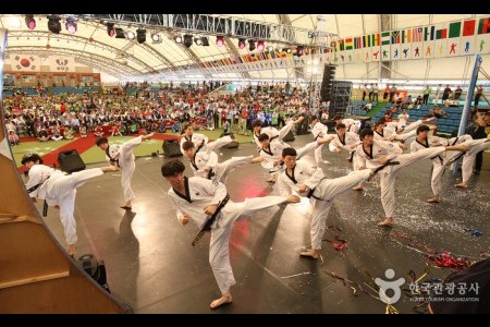 世界跆拳道文化博覽會